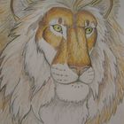 lion in color