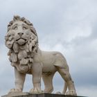 Lion Statue