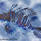 Lionfish