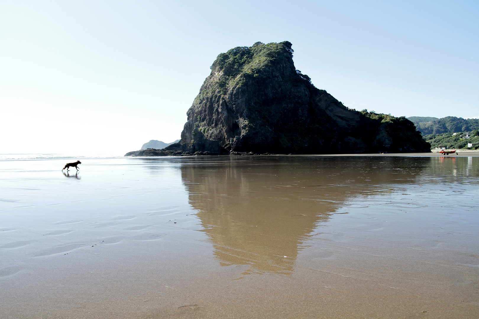 Lionrock in Piha NZ mit Hund