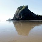 Lionrock in Piha NZ mit Hund