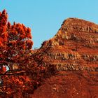 Lion's Head Capetown