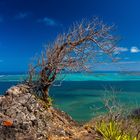 Lions Head, Mauritius