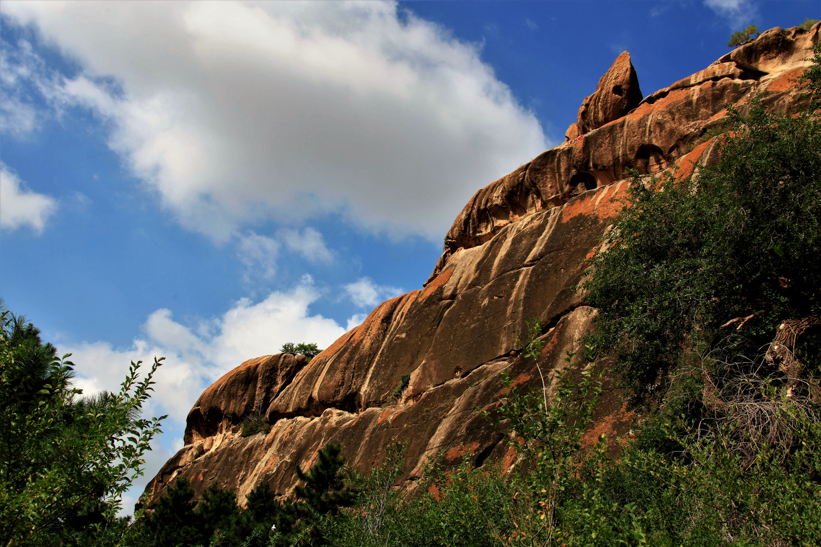 Lion's Rock