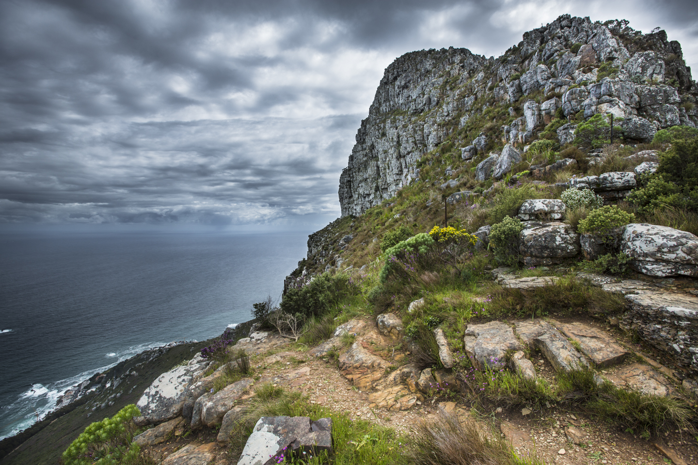 Lionshead - Cape Town