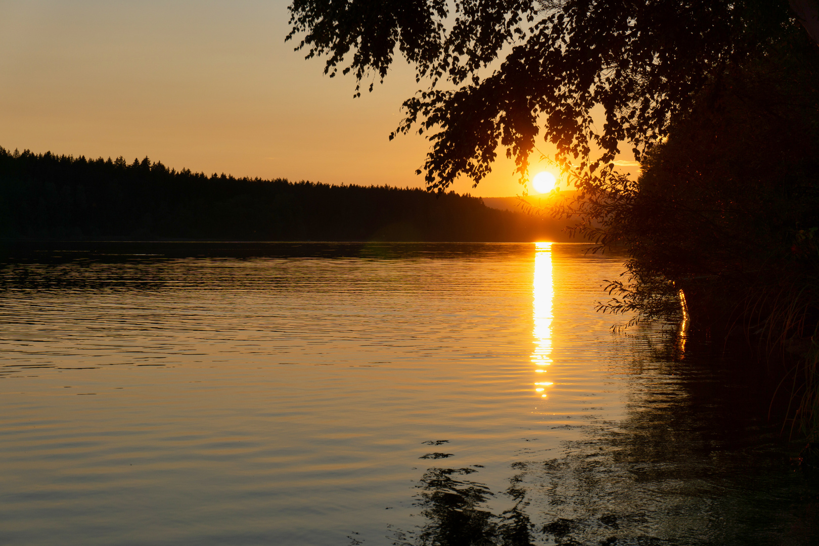 Lipnostausee