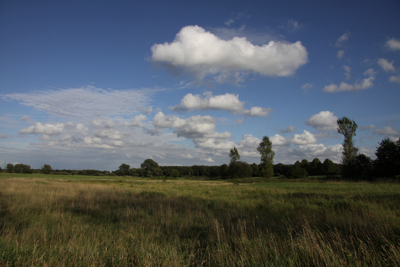 Lippe-Auenlandschaft