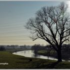 Lippe beim Sonnenuntergang