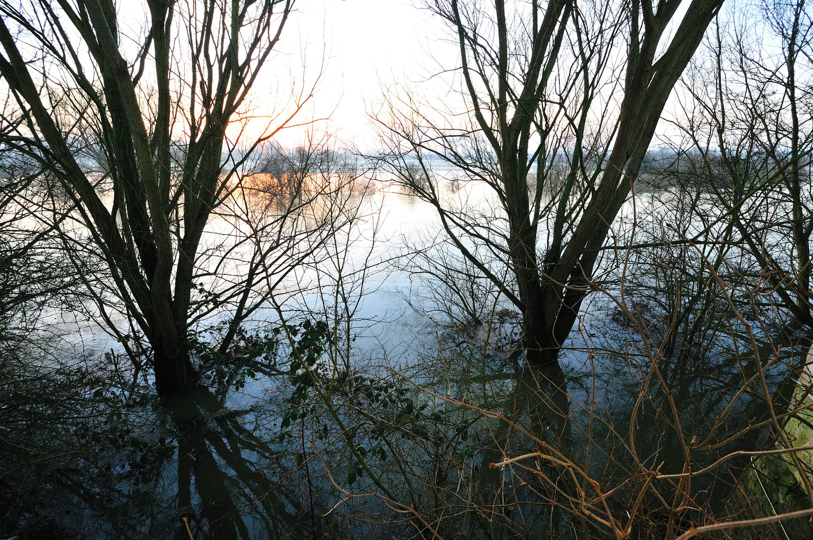 Lippe Hochwasser 01.2011