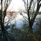 Lippe Hochwasser 01.2011