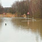 Lippe-Hochwasser 2011 am Tibaum bei Werne-Stockum - Nichts geht mehr ...