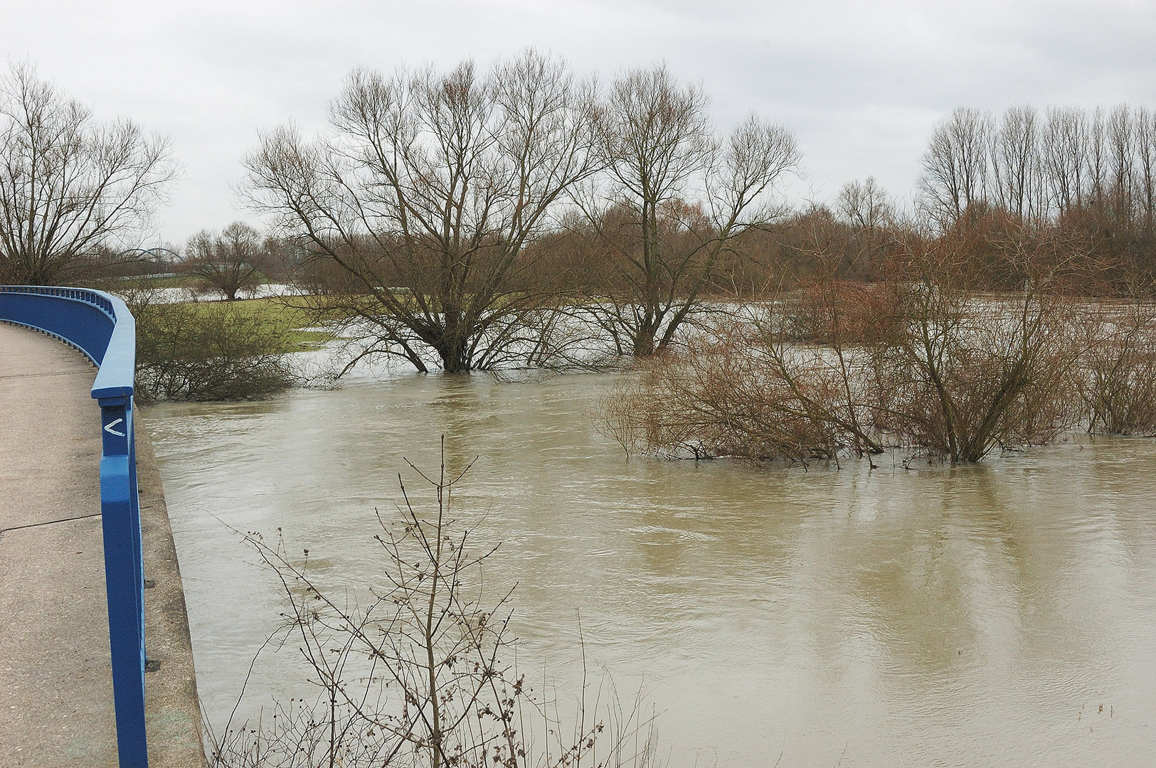 Lippe-Hochwasser von 2010 bei Werne-Stockum