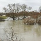 Lippe-Hochwasser von 2010 bei Werne-Stockum