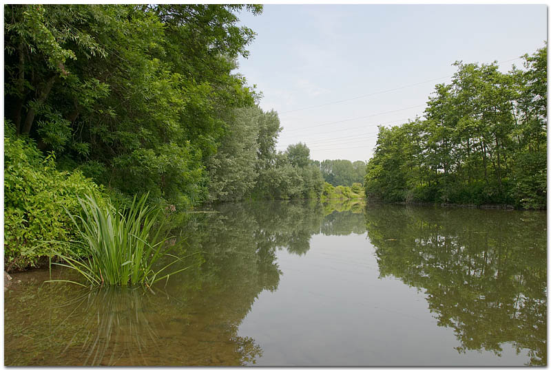 Lippe in Lünen #2