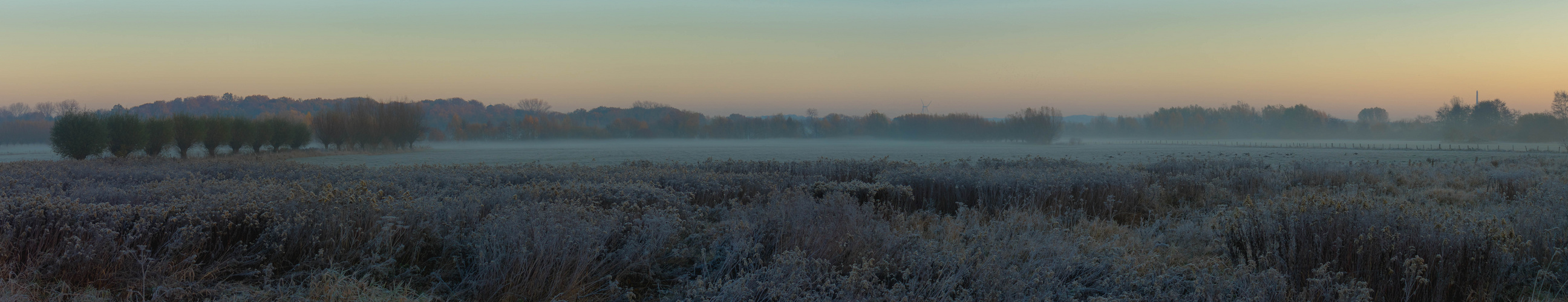 Lippeauen am Morgen 2