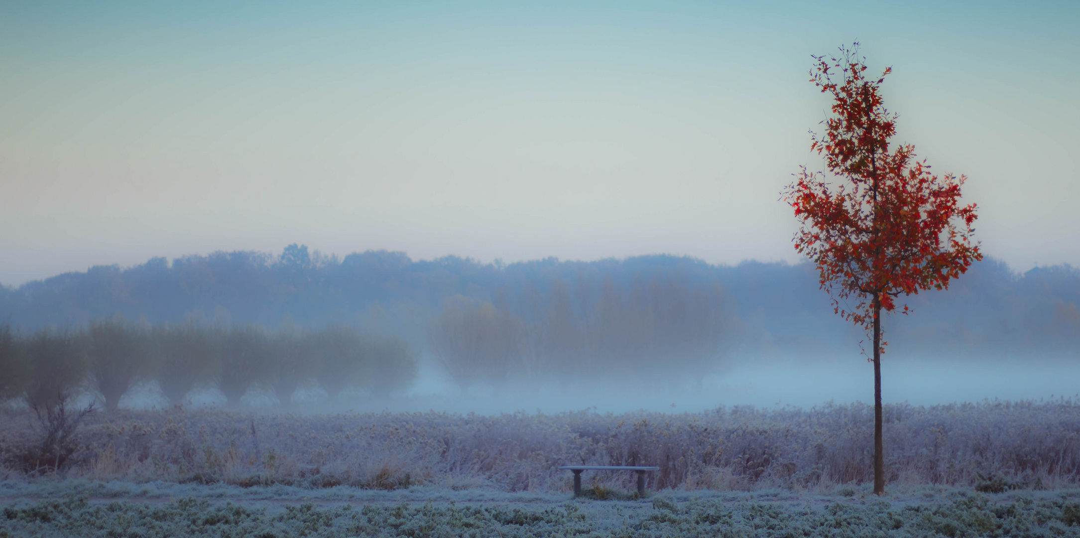 Lippeauen am Morgen 3