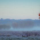 Lippeauen am Morgen 3