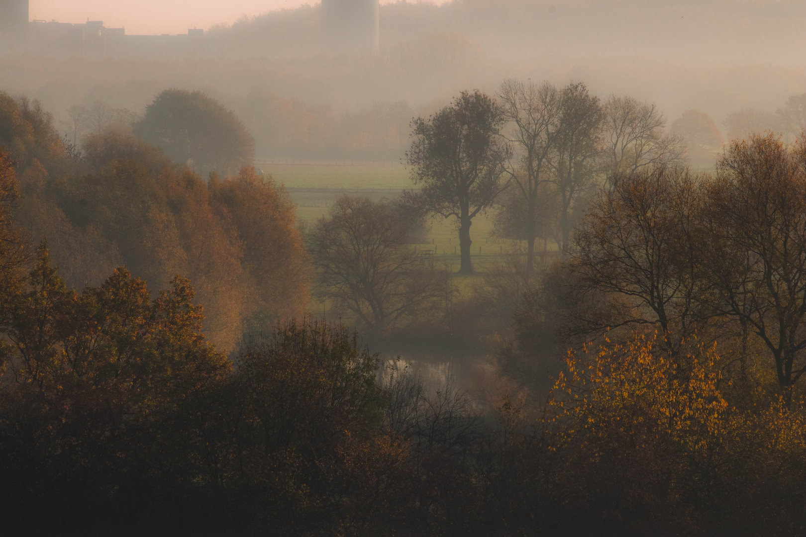 Lippeauen am Morgen