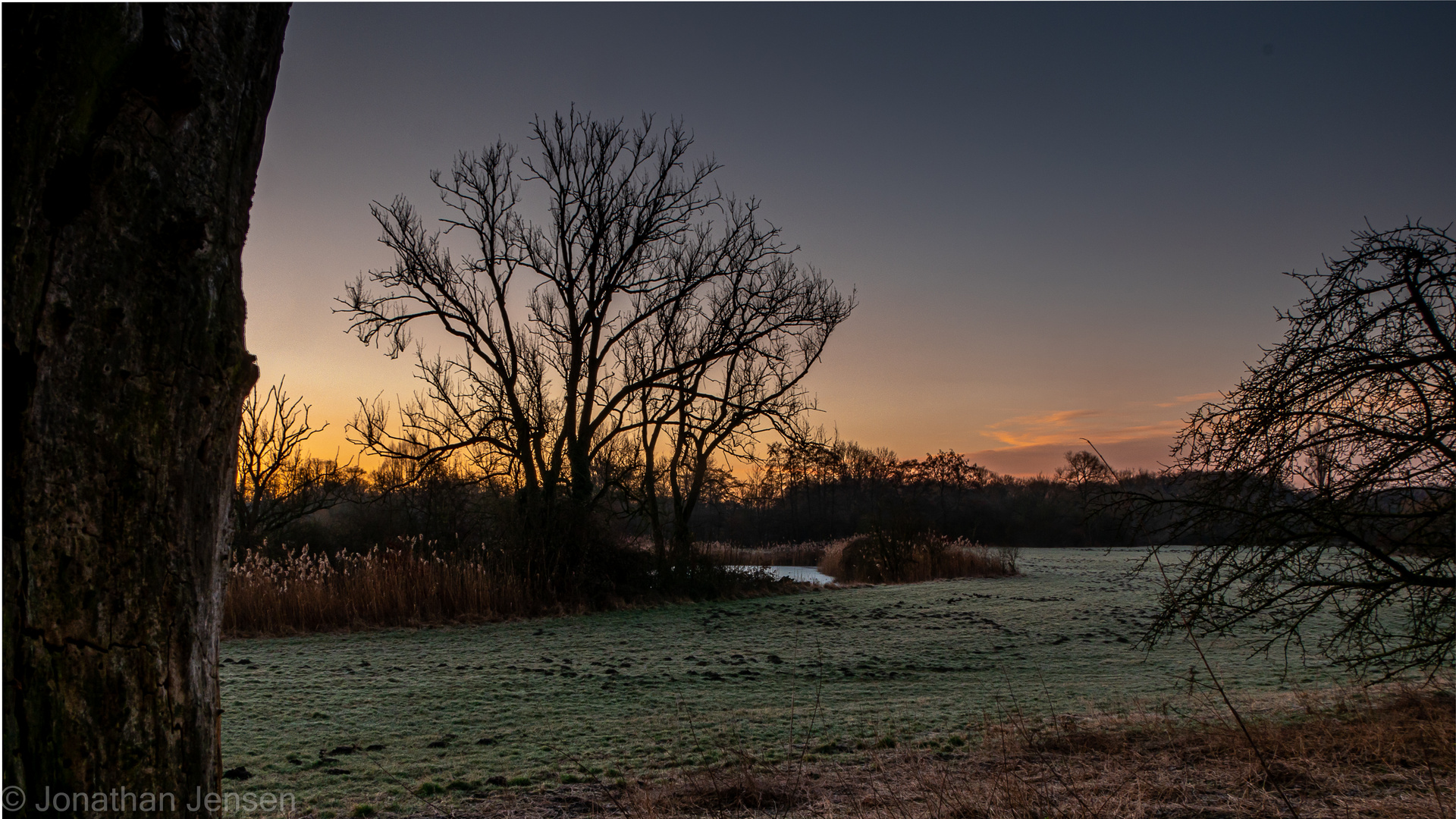 Lippeauen bei Sonnenaufgang