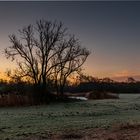 Lippeauen bei Sonnenaufgang