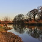 Lippeauen in der Abendsonne