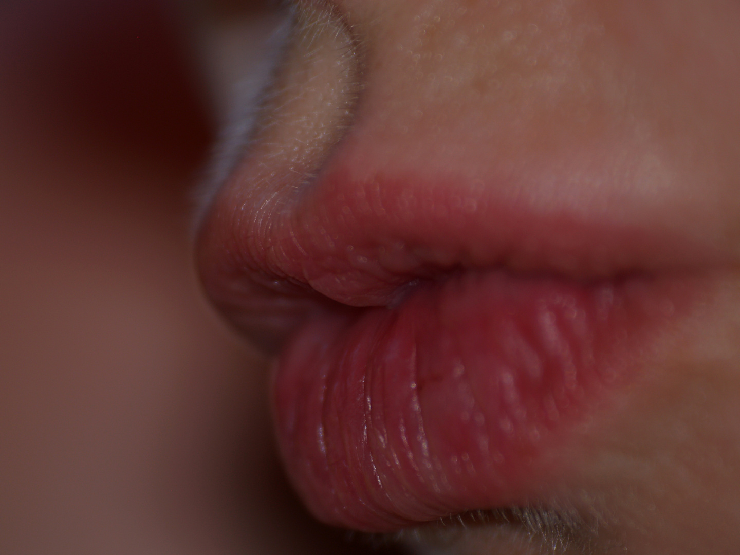 Lippen