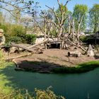 Lippenbärenanlage Zoo Leipzig