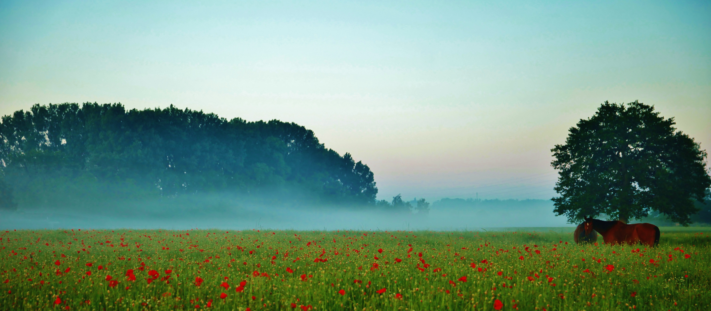 Lippetal vor Sonnenaufgang