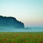 Lippetal vor Sonnenaufgang