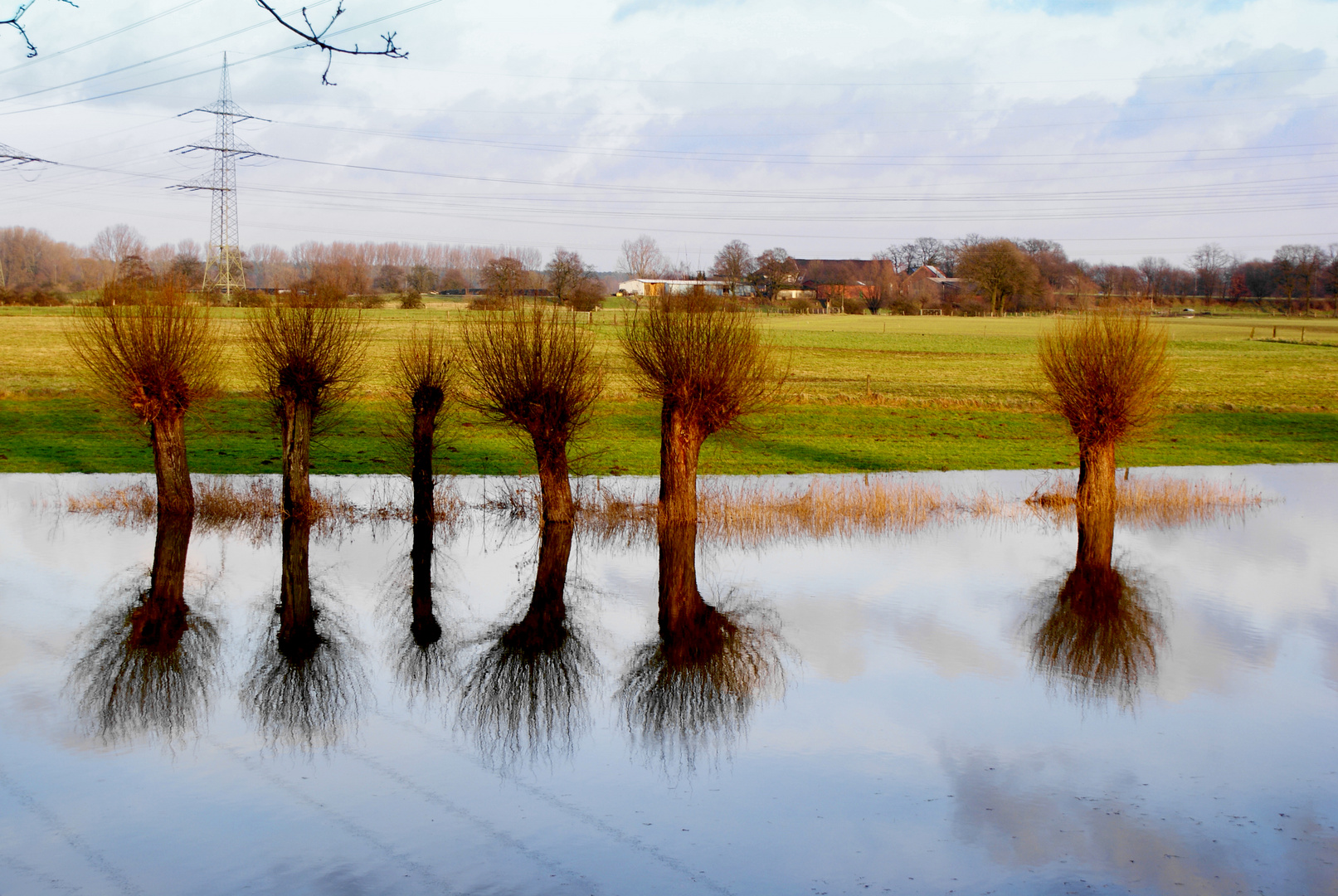 Lippewiese bei Friedrichsfeld