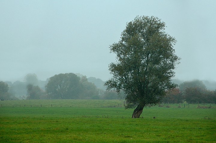 Lippewiesen bei Wesel