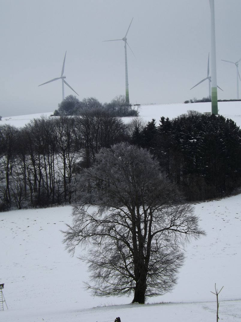 Lippische Farben (Ende Februar)