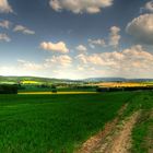 Lippische Mai-Landschaft