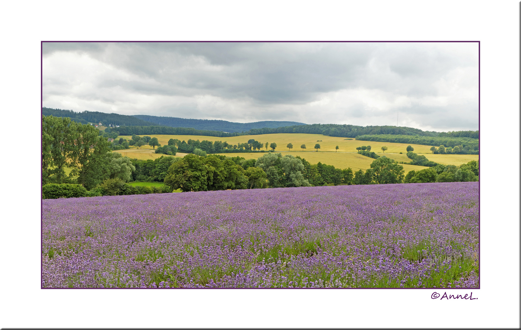 Lippische Provence