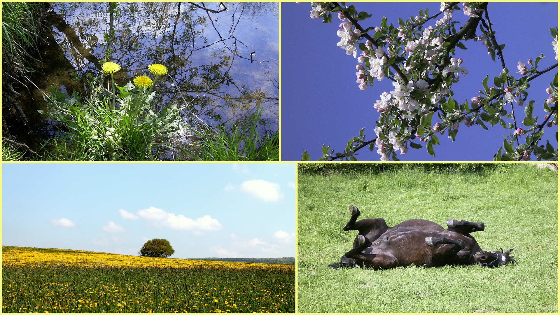 Lippischer Frühling N°1