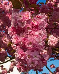 Lippstadt im Frühling