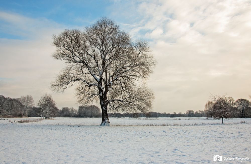 Lippstadt im Winter 2017