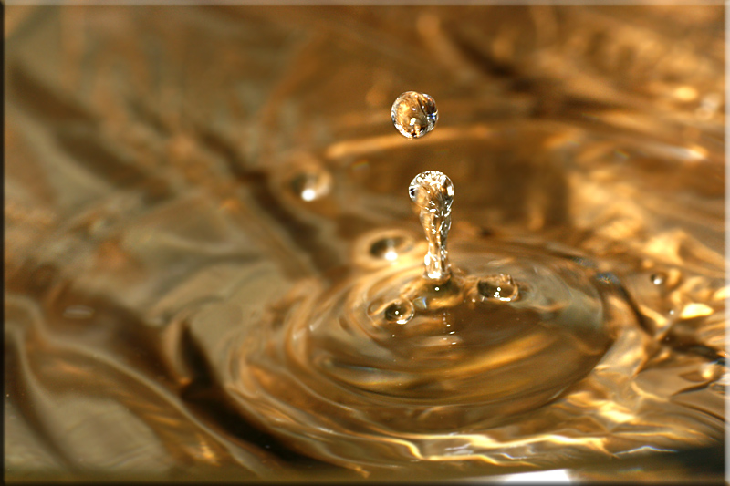 ~ Liquid Gold ~