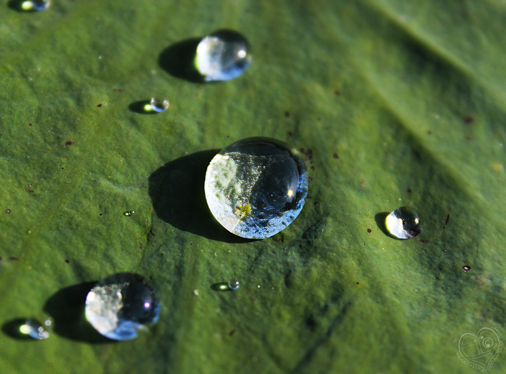 Liquid Solar System