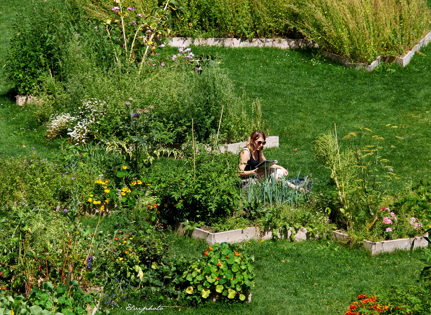 Lire au jardin 