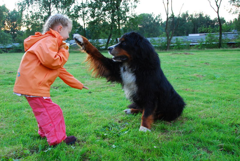 Lisa (5) und Cosmo(10)