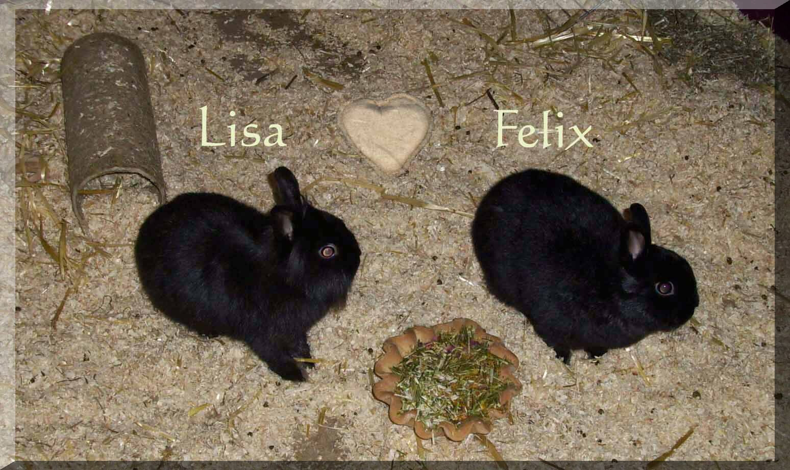 Lisa & Felix...