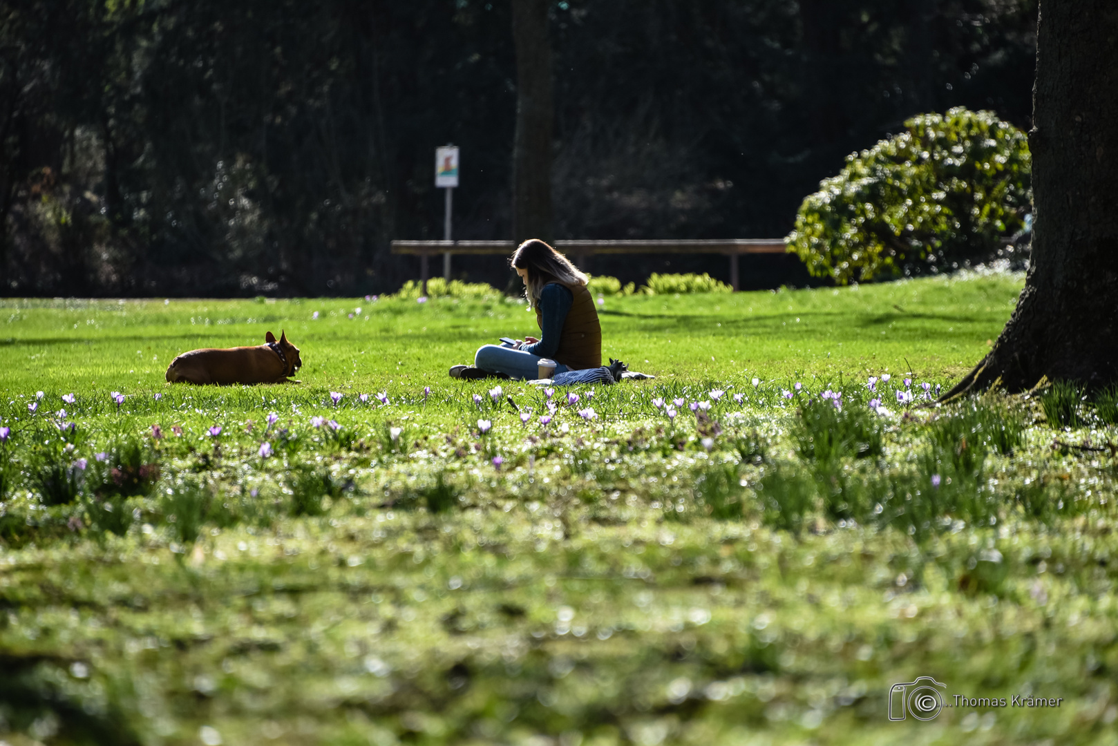 Lisa & Tayler D75_2565-3