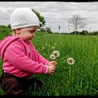 Lisa und die Pusteblume