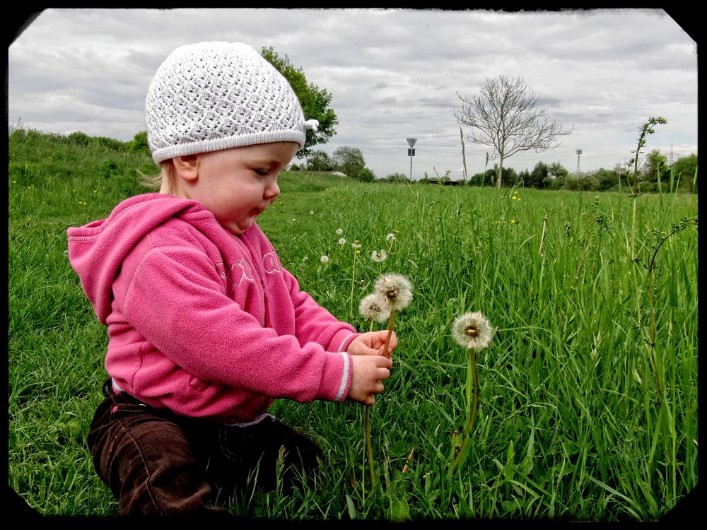 Lisa und die Pusteblume