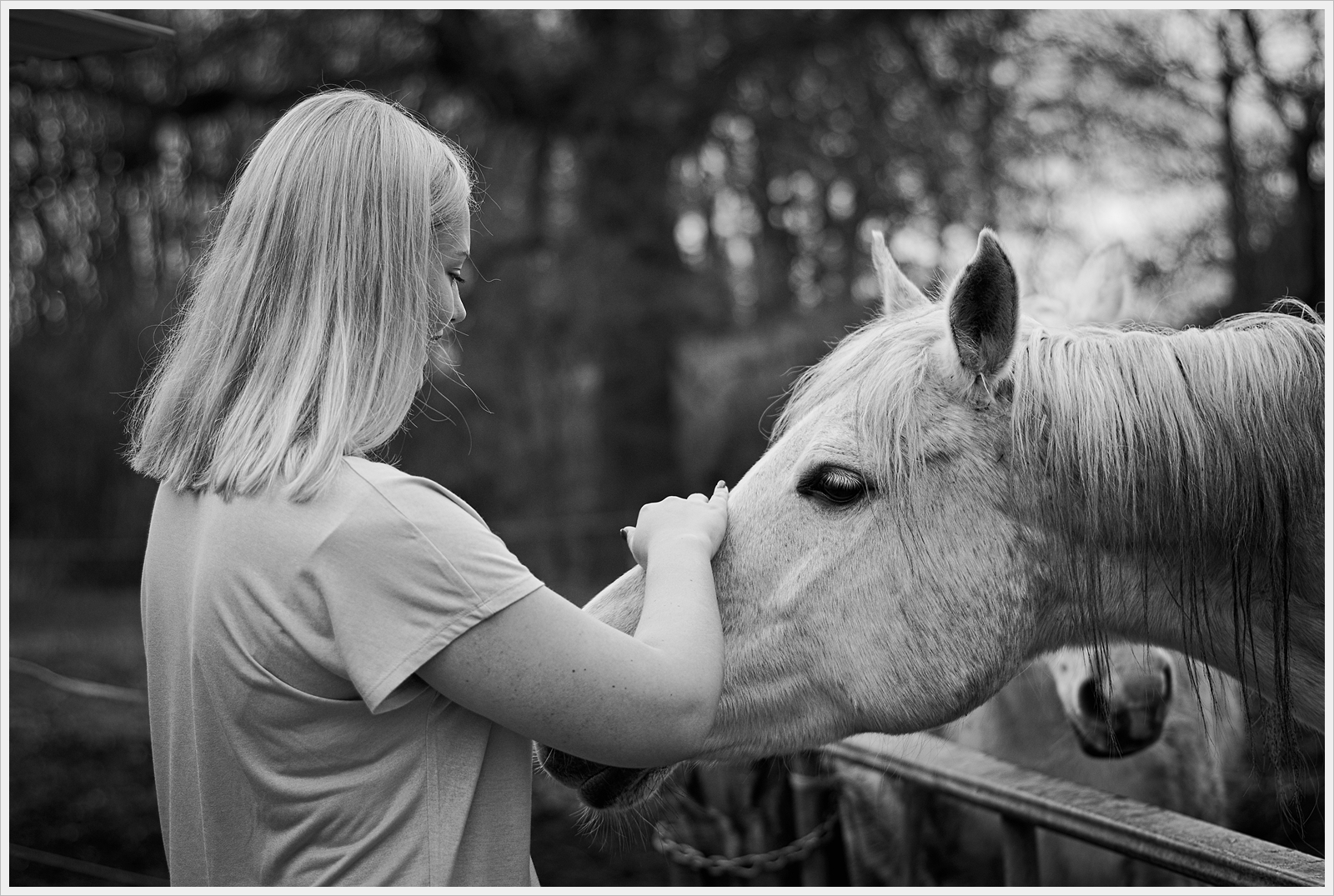 Lisa und die Shootingbeobachter 