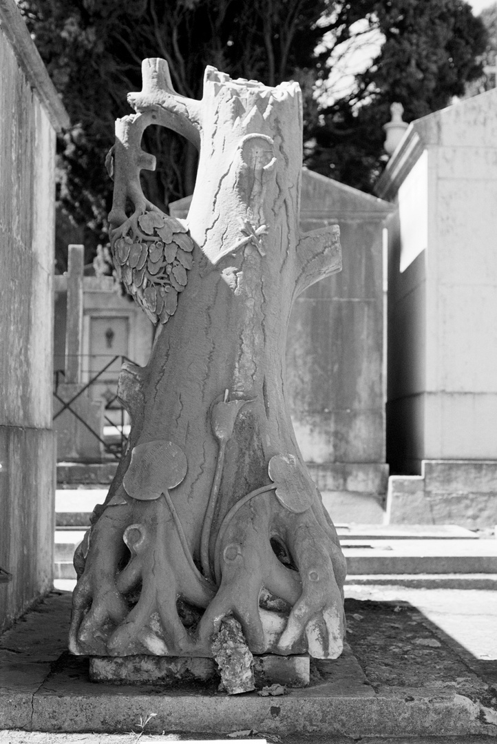 Lisboa / Cemitério dos Prazeres "Der Friedhof der Vergnügungen"