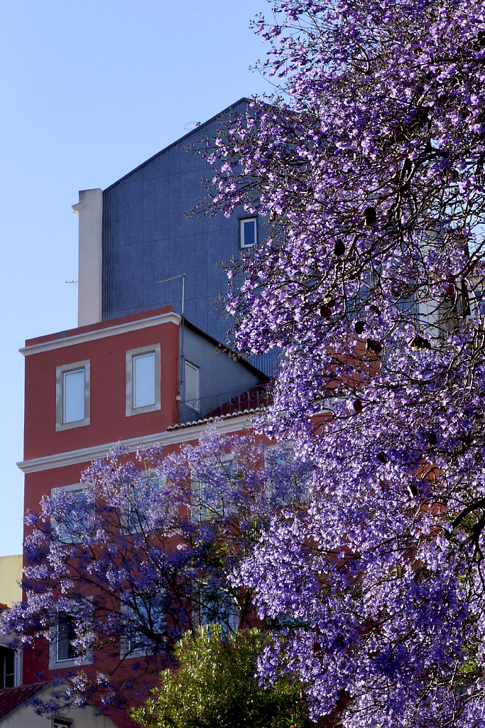 LISBOA: Colored Streets