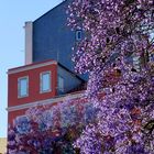 LISBOA: Colored Streets