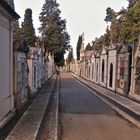 Lisboa Friedhof 2